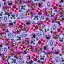 Ковролин ForboFlotex Vision Image 000410 Pink Floral  | FLOORDEALER